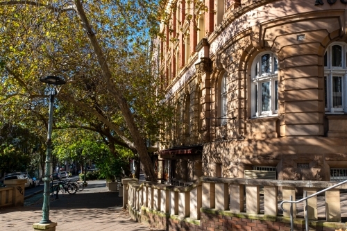 Sandstone building tree and light pole in Darlinghurst - Australian Stock Image