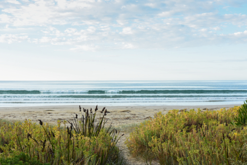 Sandy path to ocean beach and early morning light - Australian Stock Image