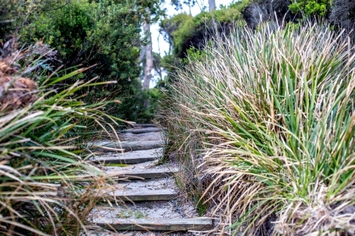 Sandy wooden steps lead up from the beach into the bush behind - Australian Stock Image