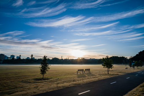 Scenic Park Landscape with Road at Sunrise - Australian Stock Image