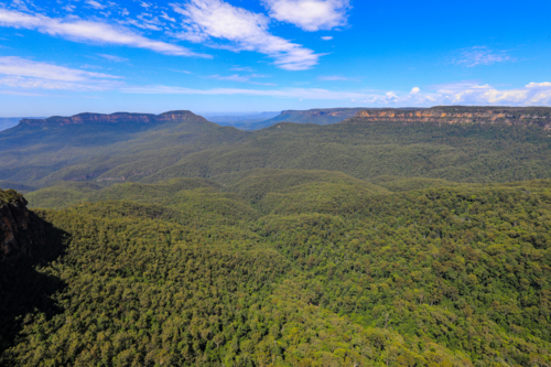 Scenic view from Echo Point in the Blue Mountains overlooking Jamison Valley with expansive forest - Australian Stock Image