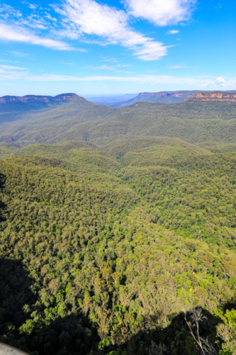 Scenic view from Echo Point in the Blue Mountains overlooking Jamison Valley with expansive forest - Australian Stock Image
