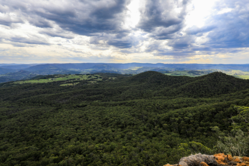 Scenic view from Hargraves Lookout in the Blue Mountains overlooking Grose Valley with forested land - Australian Stock Image