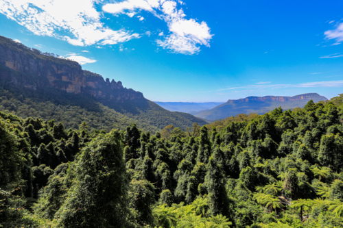 Scenic view in the Blue Mountains overlooking Jamison Valley with forested landscape - Australian Stock Image
