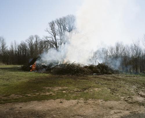 Scrub burnoff in bush clearing