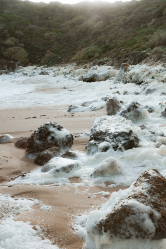 Seafoam on beach from Karen Mikimotoi Algae Bloom in South Australia - Australian Stock Image
