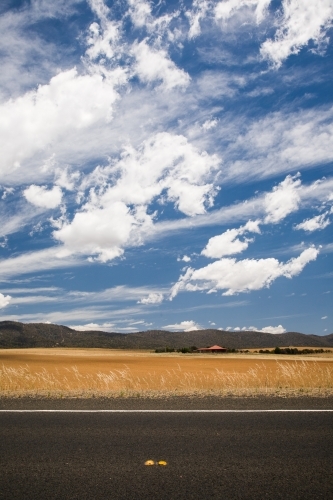 Sealed highway with yellow grass, distant house, blue sky and clouds - Australian Stock Image