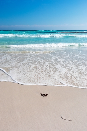 seaweed on beach with waves rolling in vertical - Australian Stock Image