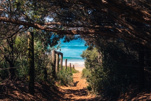 secret pathway to the beach, secret location available upon request - Australian Stock Image