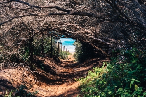 secret pathway to the beach - Australian Stock Image