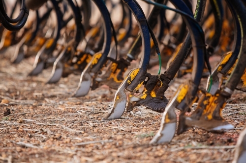 Seeding points machinery - Australian Stock Image