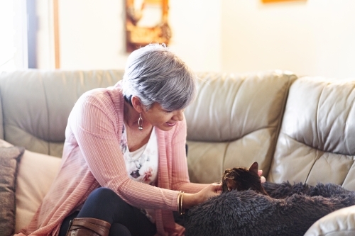 Senior woman patting her cat on the lounge in her home - Australian Stock Image