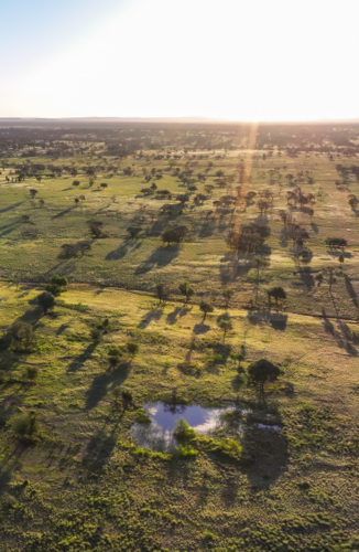 Serene landscape with sparse trees and small dam from aerial view - Australian Stock Image