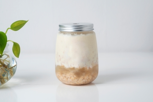 Sesame protein smoothie in a jar with a plant on the side - Australian Stock Image