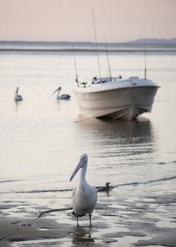 Seventeen Seventy, Queensland 03 - Australian Stock Image