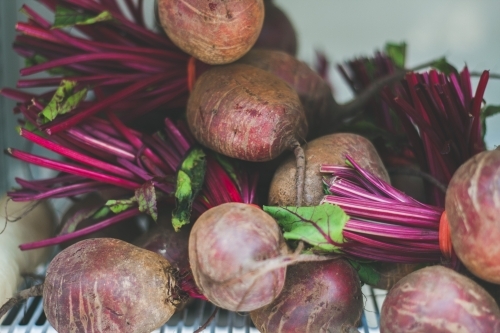 Several beetroot vegetables in a pile in the fridge - Australian Stock Image