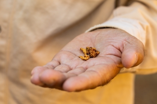 several small gold nuggets held in prospector's hand