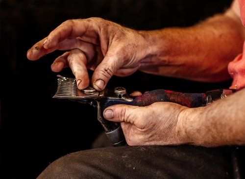 Shearers hands - Australian Stock Image