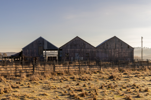 Sheds on farm paddock in early morning light - Australian Stock Image