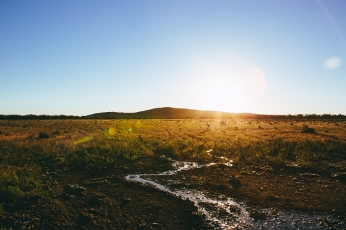 Sheep grazing with sun rising over a remote rugged landscape - Australian Stock Image