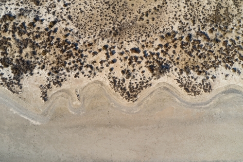Shoreline of a dry salt lake with small plants scattered on the shore. - Australian Stock Image