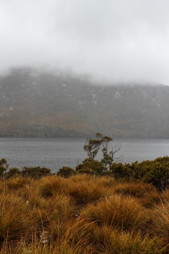 Shoreline of Dove Lake, Tasmania - Australian Stock Image