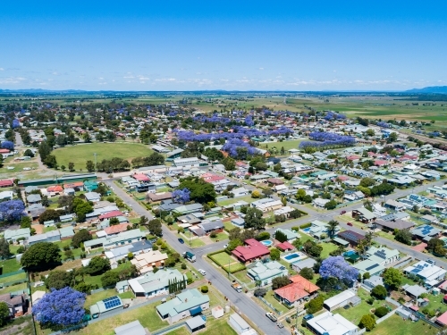 Showground arena in country town in NSW during jacaranda season - Australian Stock Image