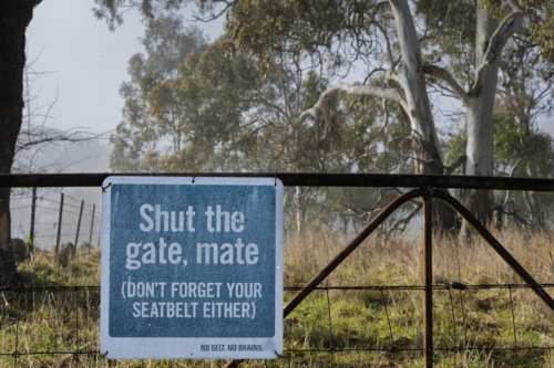 Shut the gate mate, don’t forget your seatbelt either rural sign on gate - Australian Stock Image