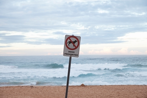 Sign on Whale Beach - dogs prohibited - Australian Stock Image