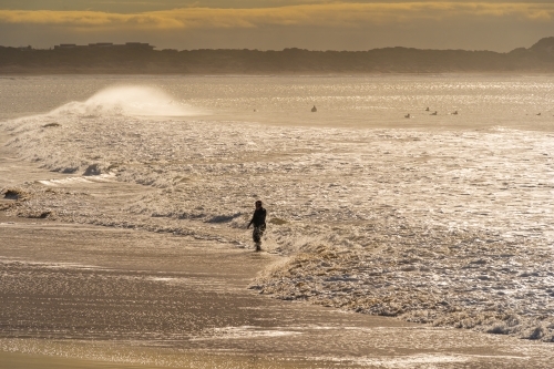 Silhouette of a swimmer walking out of rough surf up a beach at dawn
