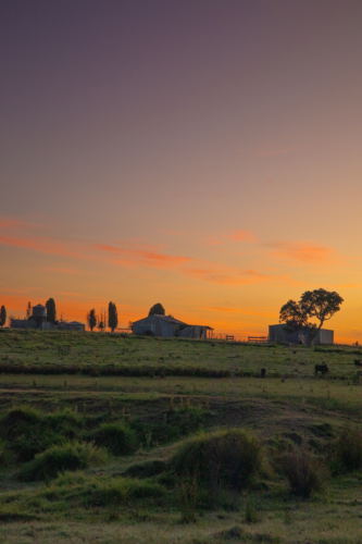 Silhouette of farmyard buildings under a sunrise sky - Australian Stock Image