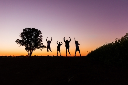 Silhouette of four children jumping near tree in paddock on farm at sunset - Australian Stock Image