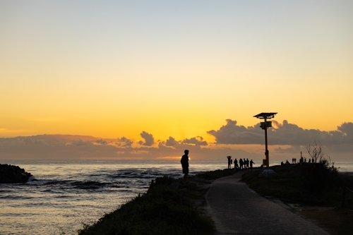 Silhouette of group of people gathering to watch the sunrise from the breakwall at Brunswick Heads - Australian Stock Image