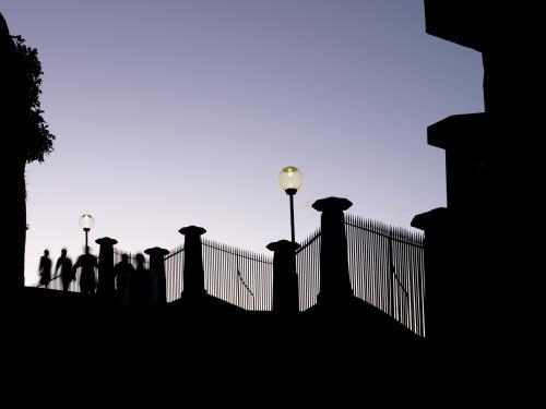 Silhouette of people on steps leading to the Sydney Botanic Gardens