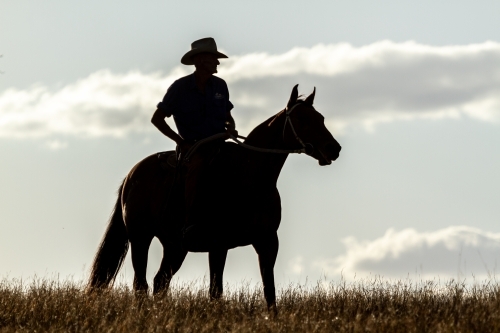 Silhouette of stockman and horse.
