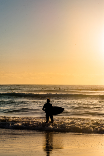 Silhouette of Surfer with Board Walking Towards Ocean at Sunrise - Australian Stock Image