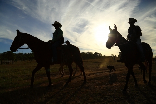 Silhouette of three stockmen on horses at the end of the day