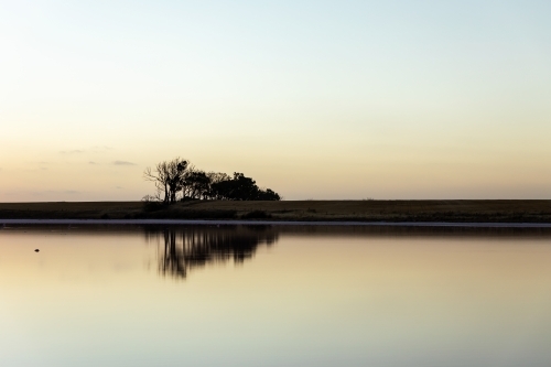 silhouette of trees at dusk with reflection in water