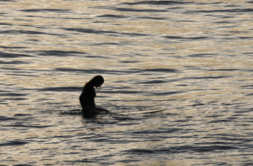silhouette of woman on surfboard in golden sunset water - Australian Stock Image