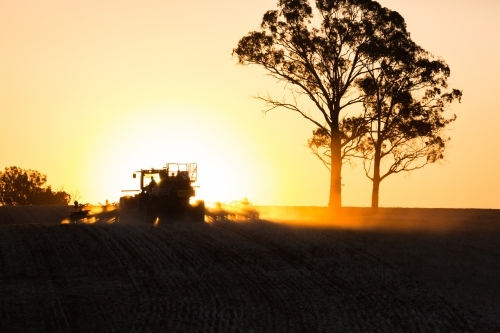 silhouette shot of a tractor and a tree during sunset