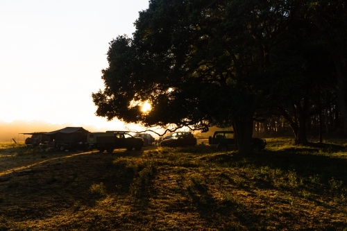 silhouette shot of a tree and campsite in paddock