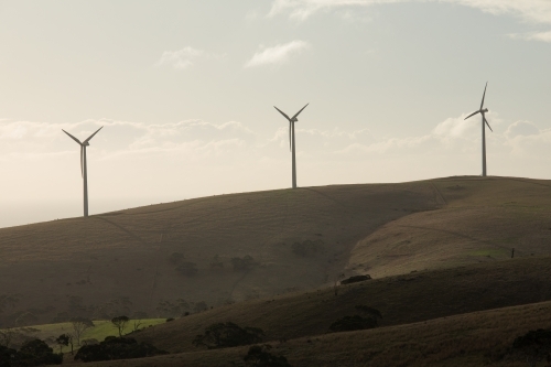 Silhouetted row of wind turbines on a hill in a paddock - Australian Stock Image