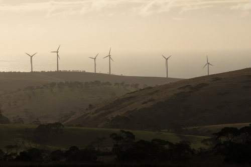 Silhouetted row of wind turbines on a hill in a paddock