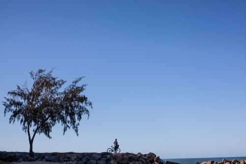 Silhouetted tree and person with bike by the coast