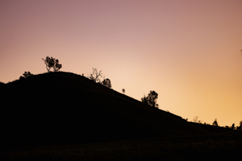 Silhouetted trees and hills under a purple sunset sky - Australian Stock Image