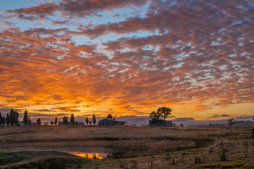 Silhouettes of a building and trees under an orange dawn sky - Australian Stock Image