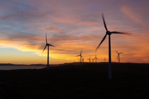 Silhouettes of wind turbines against a sunset lit sky