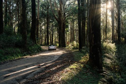 Silver Sports Car on Mountain Road, near Healesville - Australian Stock Image