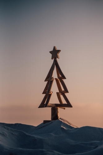 Simple driftwood tree in sand on the beach with beautiful sunrise tones - Australian Stock Image