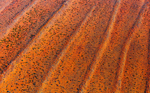 Simpson Desert, Sand Dunes - Australian Stock Image